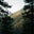 folkwatersupply.com favicon